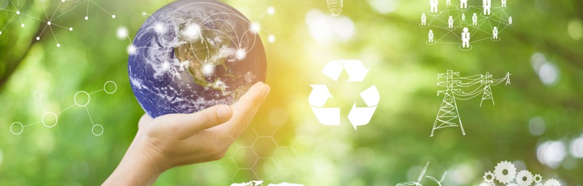 Protego Sustainable Supply Chain