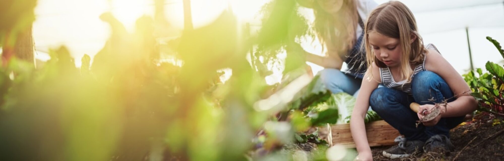 Protego Sostenibilidad