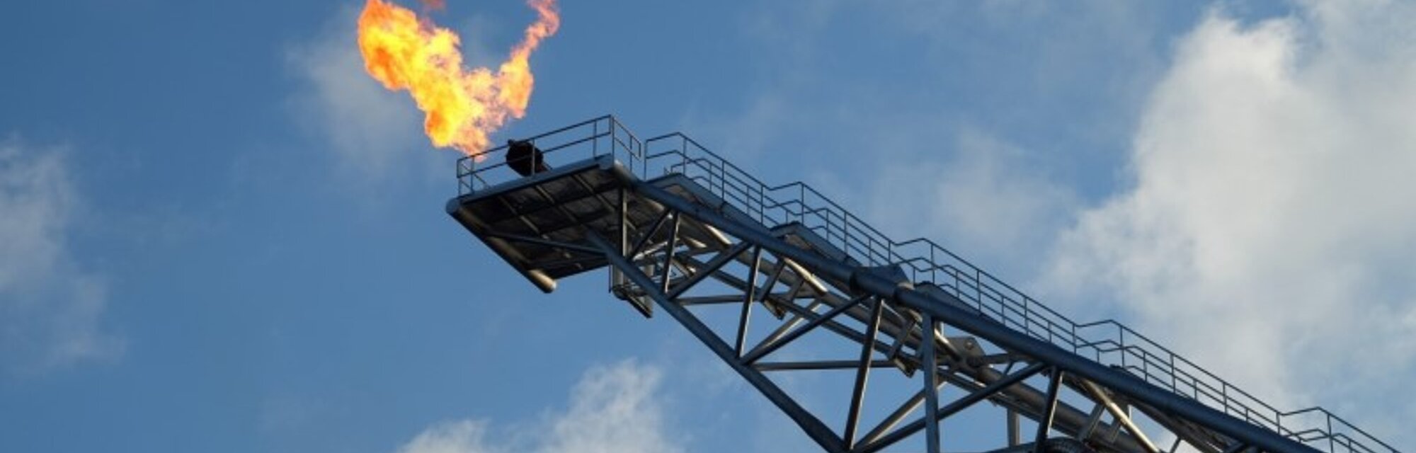 Protego Protection of Vapour Combustion Systems and Flares