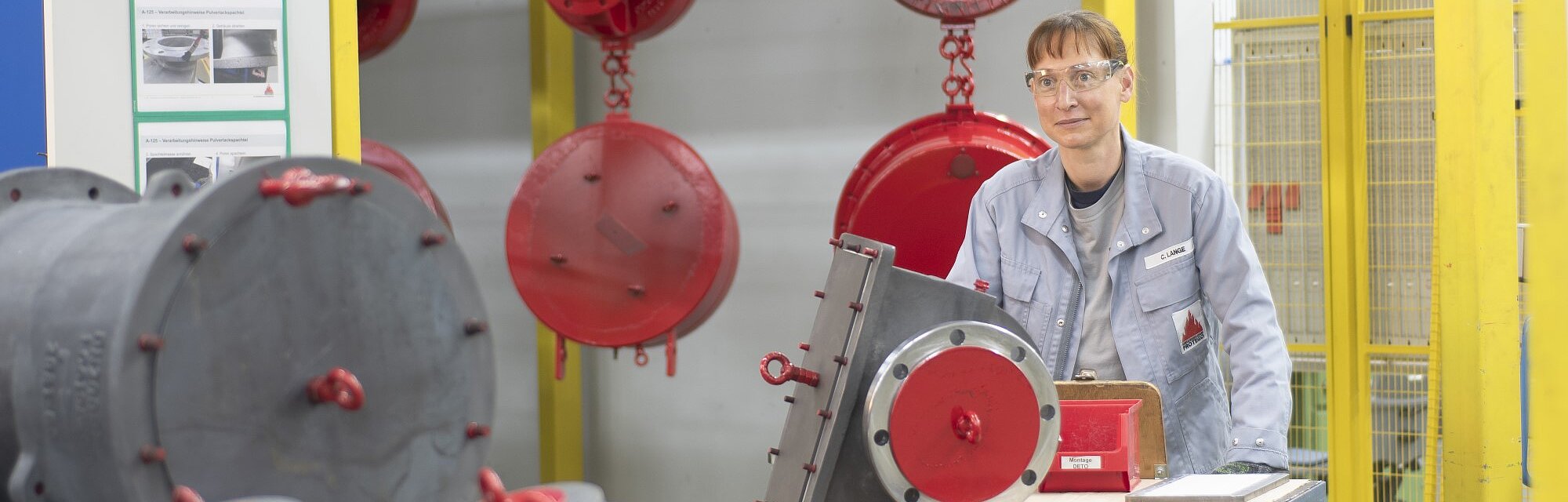 Protego About PROTEGO®