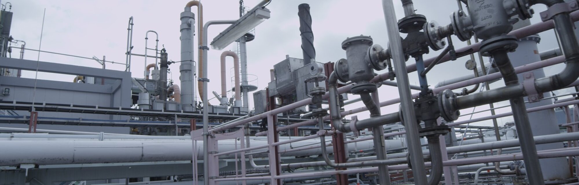Protego Protection of Chemical and Pharmaceutical Processing Facilities